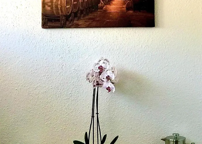 בית אירוח Klein Und Fein Fuer Nach Dem Wein, Roemerstrasse